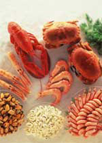 dinh-duong-cho-benh-gut