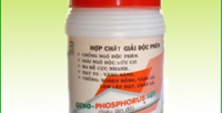 Ngộ độc phospho hữu cơ 