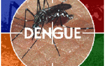 Sự nguy hiểm của SXH Dengue ở người lớn