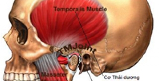 Nuôi xương hàm ở... lưng